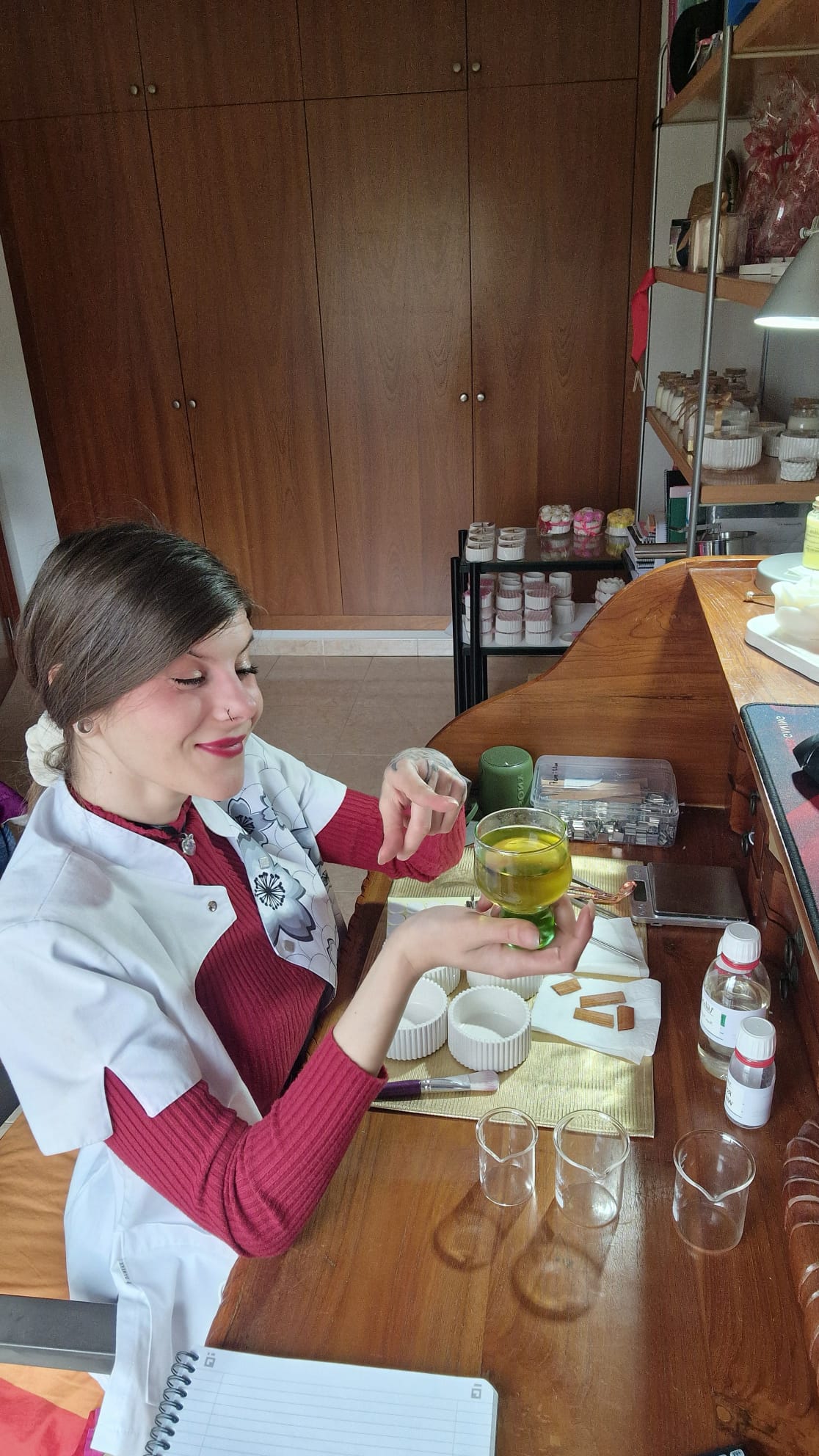 Ariadna Moner Peregrina